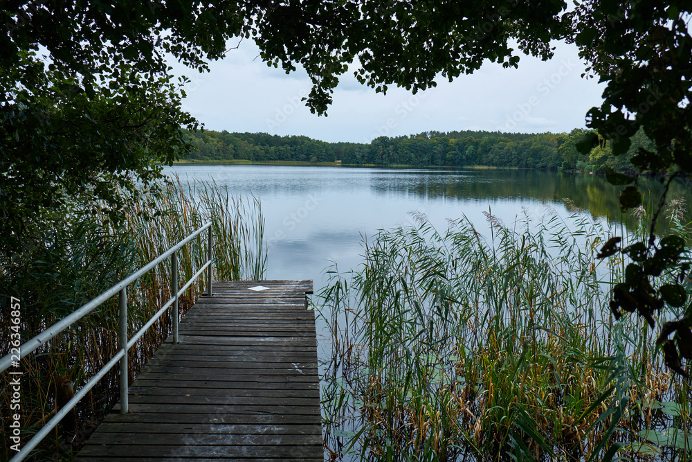 Obraz premium Landing stage at a rural lake with a safety railing to the left and a forest in the background. At the side reed comes out of the water