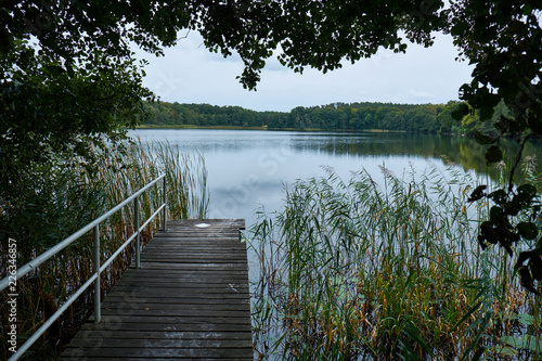 Landing stage at a rural lake with a safety railing to the left and a forest in the background. At the side reed comes out of the water