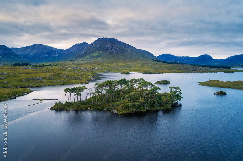 Aerial view of the Pine Trees Island in the Derryclare Lake