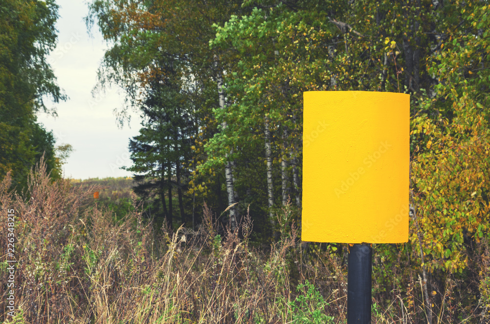 Empty yellow road sign in autumn forest