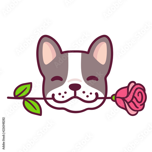 French Bulldog with rose