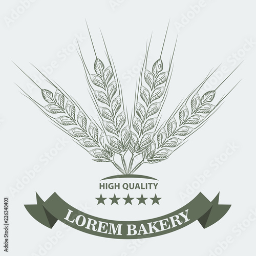 Wheat, stars and ribbon with sketch line art style for Bakery concept. Vector illustration.