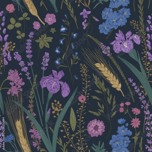 Summertime. Seamless pattern. Flowers and plants of fields and forests. Vector vintage botanical illustration. Dark color