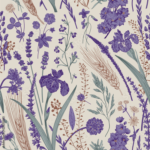 Summertime. Seamless pattern. Flowers and plants of fields and forests. Vector vintage botanical illustration. Purple and emerald