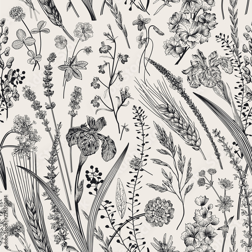 Summertime. Seamless pattern. Flowers and plants of fields and forests. Vector vintage botanical illustration. Black and white