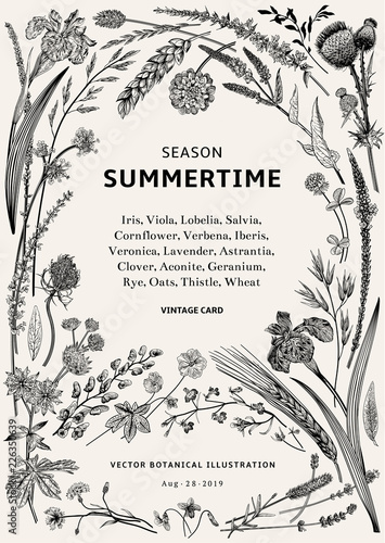 Summertime. Floral Frame. Flowers and plants of fields and forests. Vector vintage botanical illustration. Black and white