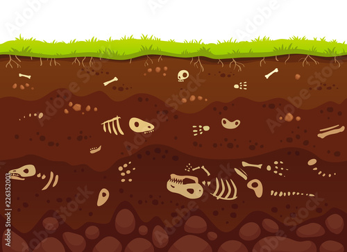 Archeology bones in soil layers. Buried fossil animals, dinosaur skeleton bone in dirt and underground clay layer vector illustration photo