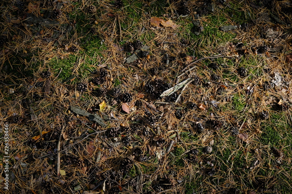 ground with seeds ground with seeds