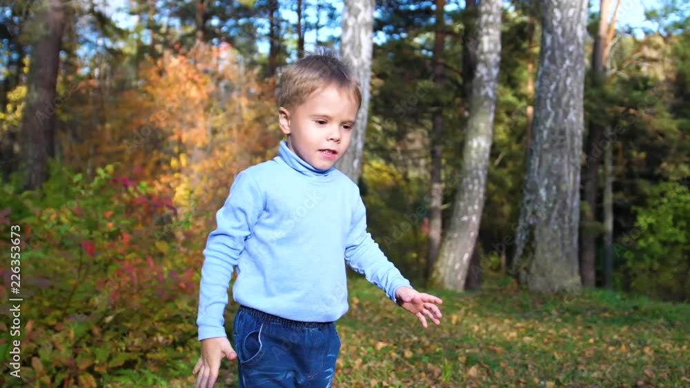 Child in autumn Park having fun playing and laughing , walking in the fresh air. A beautiful scenic place Child in autumn Park having fun playing and laughing , walking in the fresh air. A beautiful scenic place