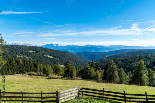Fototapeta Naklejka Na Ścianę i Meble -  Almwiese mit Holzzaun und Wald mit Blick in die Dolomiten