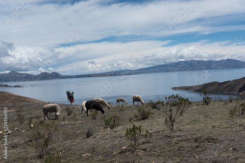 Bolivian Landscape