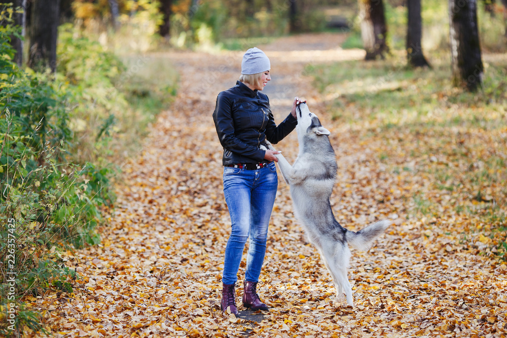 Fototapeta premium Beautiful caucasian girl plays with husky dog in autumn forest