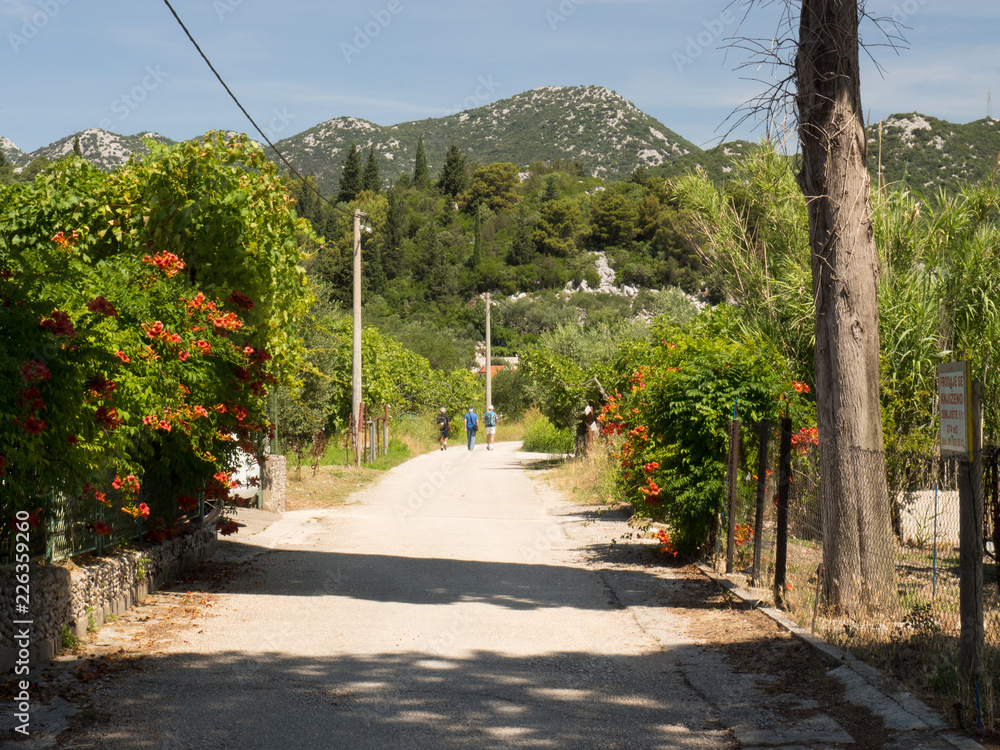 Naklejka premium Tourist enjoing the walk around the beautiful Bacina lakes in Dalmatia,Croatia - holiday destination