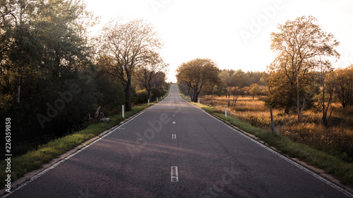 road in the forest