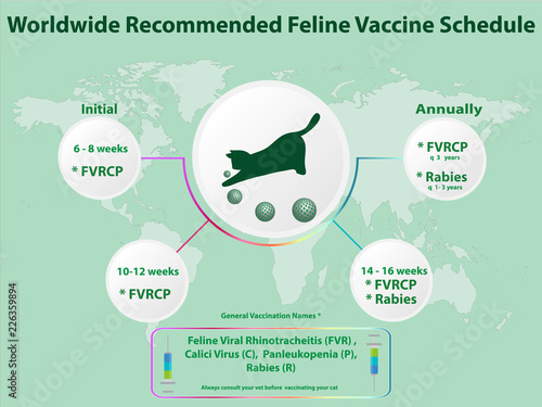 cat vaccination schedule final