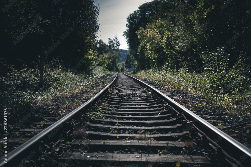 Obraz premium railway in forest