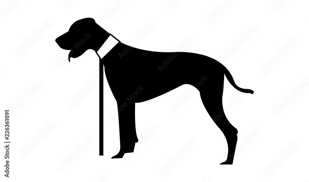 Cute dog silhouette, isolated on white