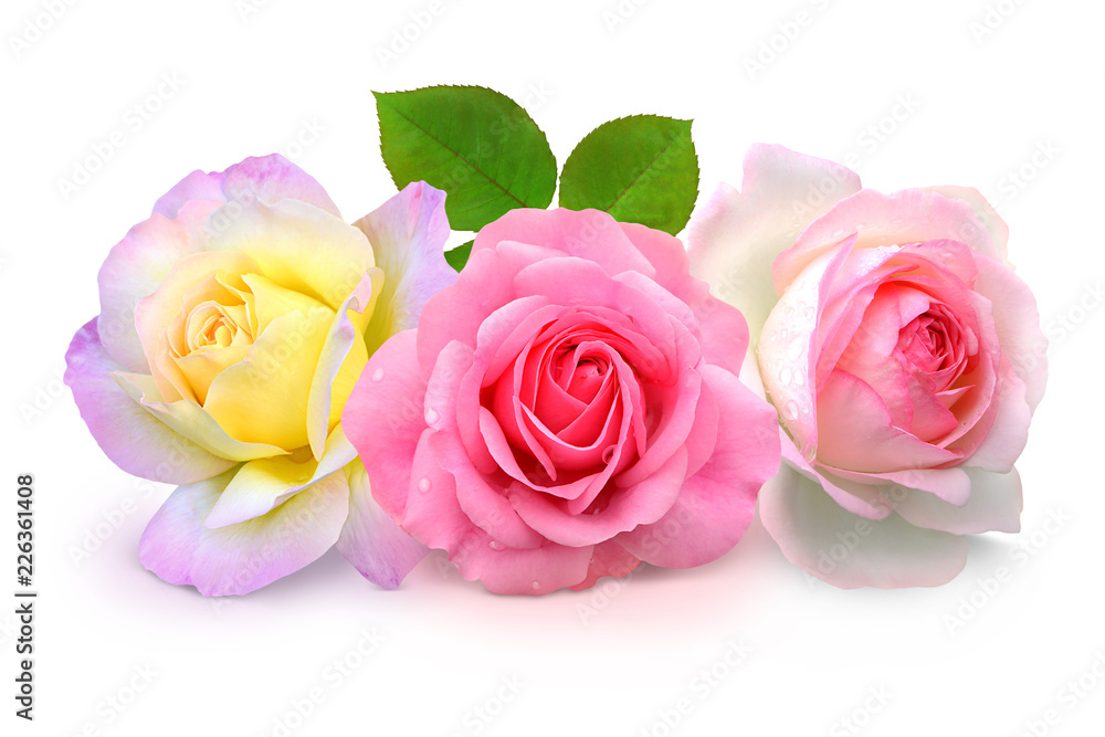 Blumen 927 Blumen 927