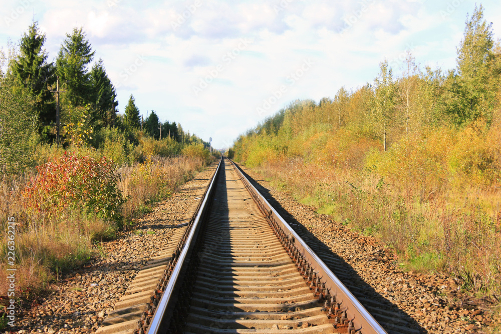 Railroad Train Track Sleepers Pathway on Autumn Landscape. Panoramic Commute Train Railway Path Perspective, Rural Outdoor Nature Fall Background. Transportation, Logistic, Trains Rail Road Concept