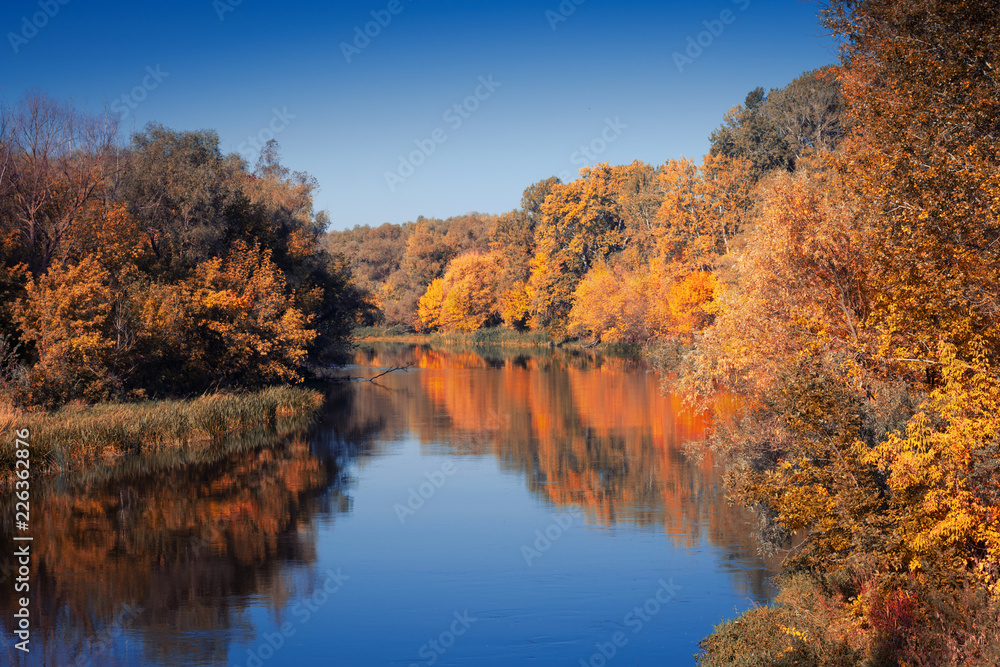Autumn forest along the banks of the river on a sunny day