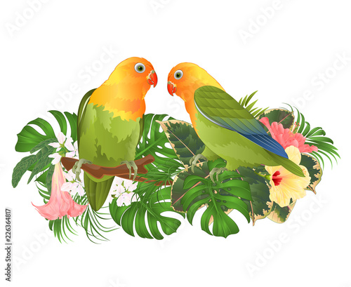 Parrots Agapornis lovebird tropical birds  standing on a branch and Brugmansia with pink and yellow hibiscus  on a white background vector illustration editable hand draw