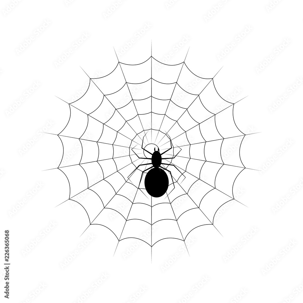Fototapeta premium Web and black poisonous spider. Isolated on white vector illustration