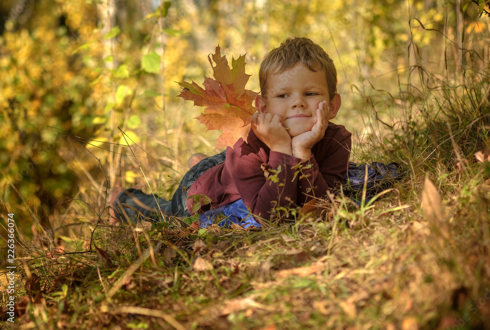 European boy in autumn Park with yellow foliage