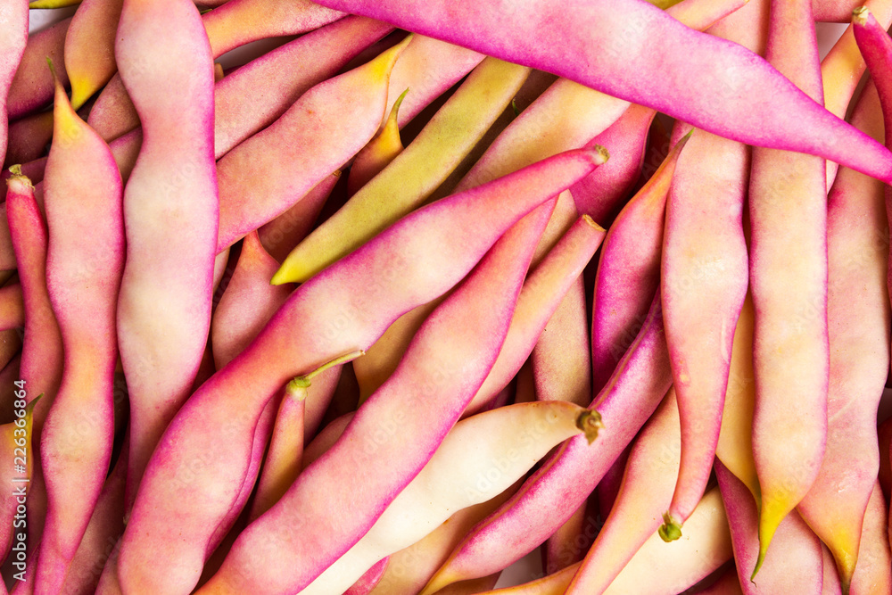 Purple beans on a pile, organic healthy food