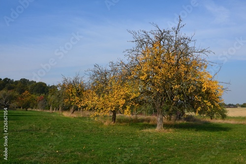 Herbstliche Naturlandschaft im goldenen Oktober photo