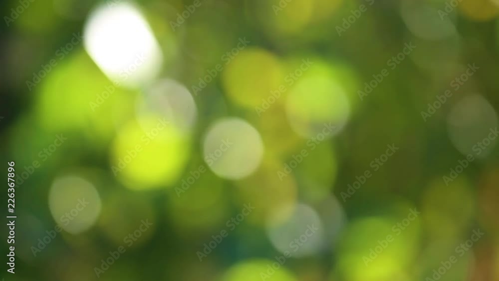 Blurry colorful soft nature bokeh background. Handheld real time video footage. Blurry colorful soft nature bokeh background. Handheld real time video footage.