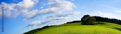 Landschaft grüne Wiese und Wälder