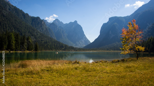 Wallpaper Mural SONY DSC Torontodigital.ca