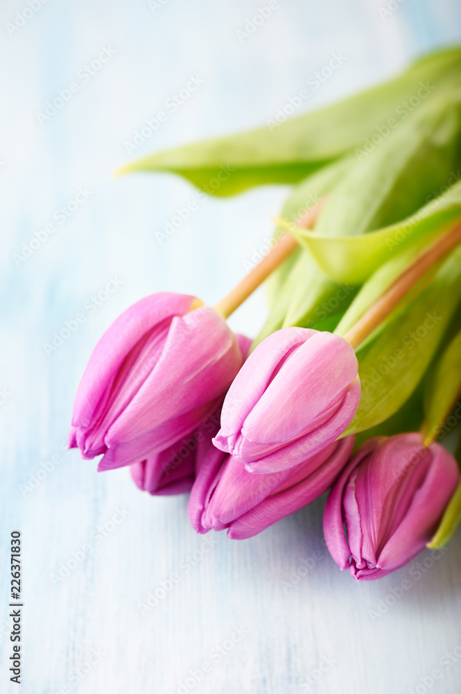 Pink Tulips. Flower background. Wooden background. Close up. Pink Tulips. Flower background. Wooden background. Close up.