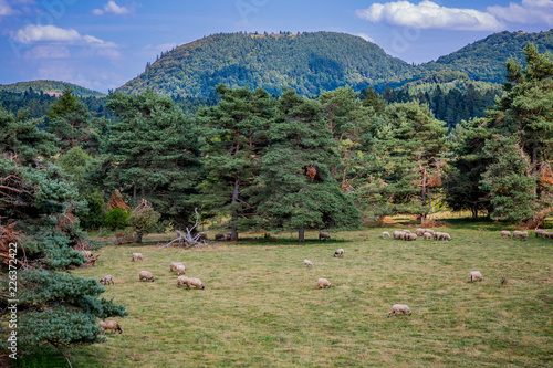 Paysage d'Auvergne photo