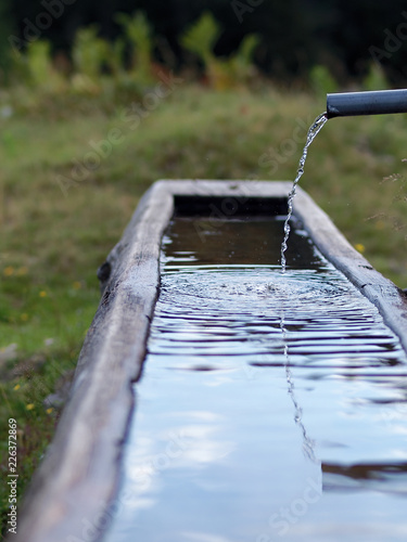 Quellwasser