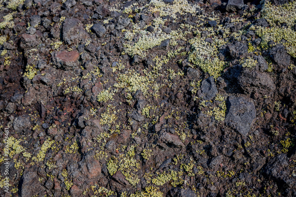 Balade dans le Volcan de Lemptégy