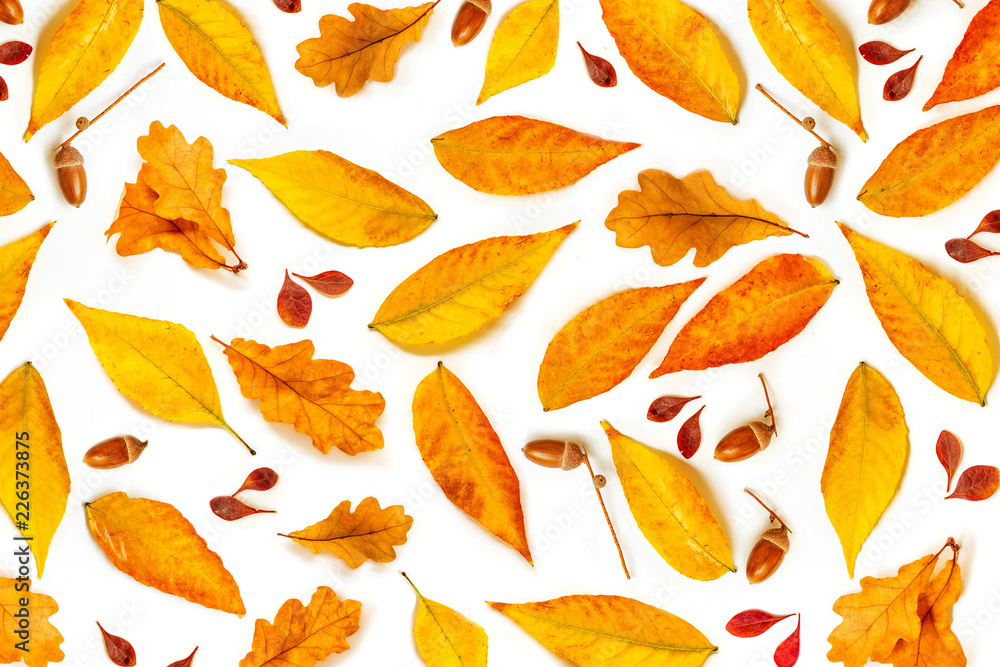 Autumn composition with acorns, golden marple and oak leaves isolated on white background. Autumn l Pattern. Flat lay, top view Autumn composition with acorns, golden marple and oak leaves isolated on white background. Autumn l Pattern. Flat lay, top view