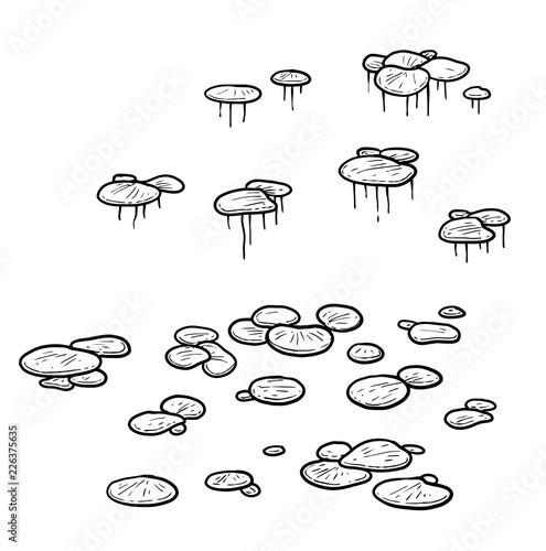 Green duckweed illustration, drawing, engraving, ink, line art, vector