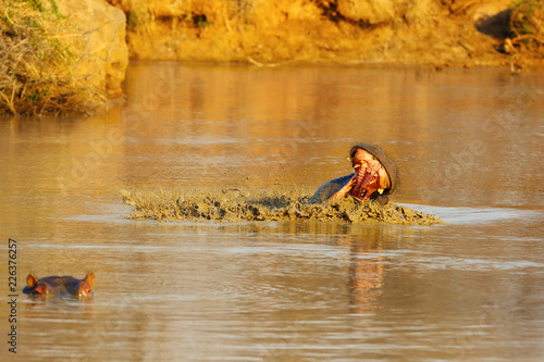 Fototapeta Naklejka Na Ścianę i Meble -  The common hippopotamus (Hippopotamus amphibius), or hippo opens his mouth when warning his opponent.The hippopotamus mopes the jaws with muddy water.