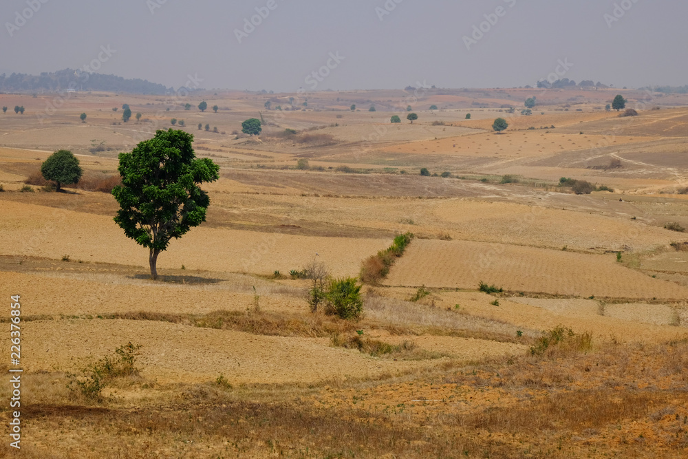 Fototapeta premium Burma landscape