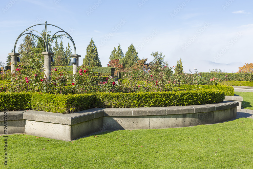 Fototapeta premium Rose garden