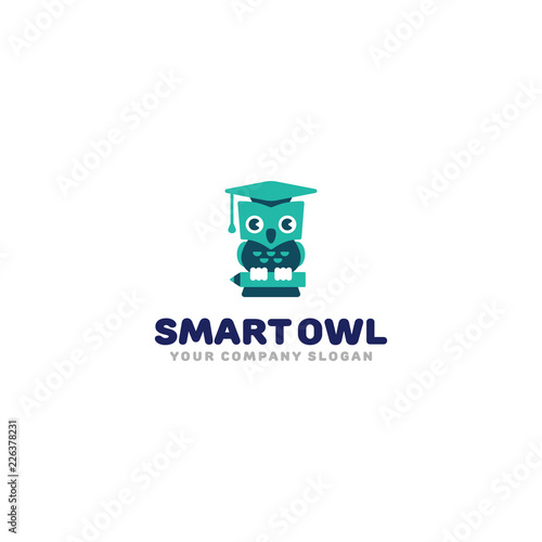 Smart owl logo. Cute cartoon owl in graduation hat. Kids study symbol vector template. © kirlen