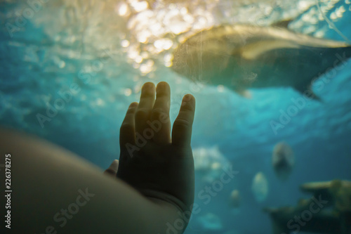 Children hand touch aquarium glass
