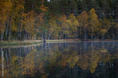 Person standing on a pier by the lake surrounded by autumn colored forest