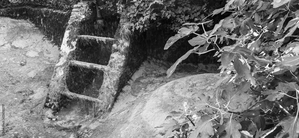 Fototapeta premium Une échelle en bois rongée par l'eau