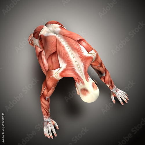3D render of a male medical figure in kneeling position