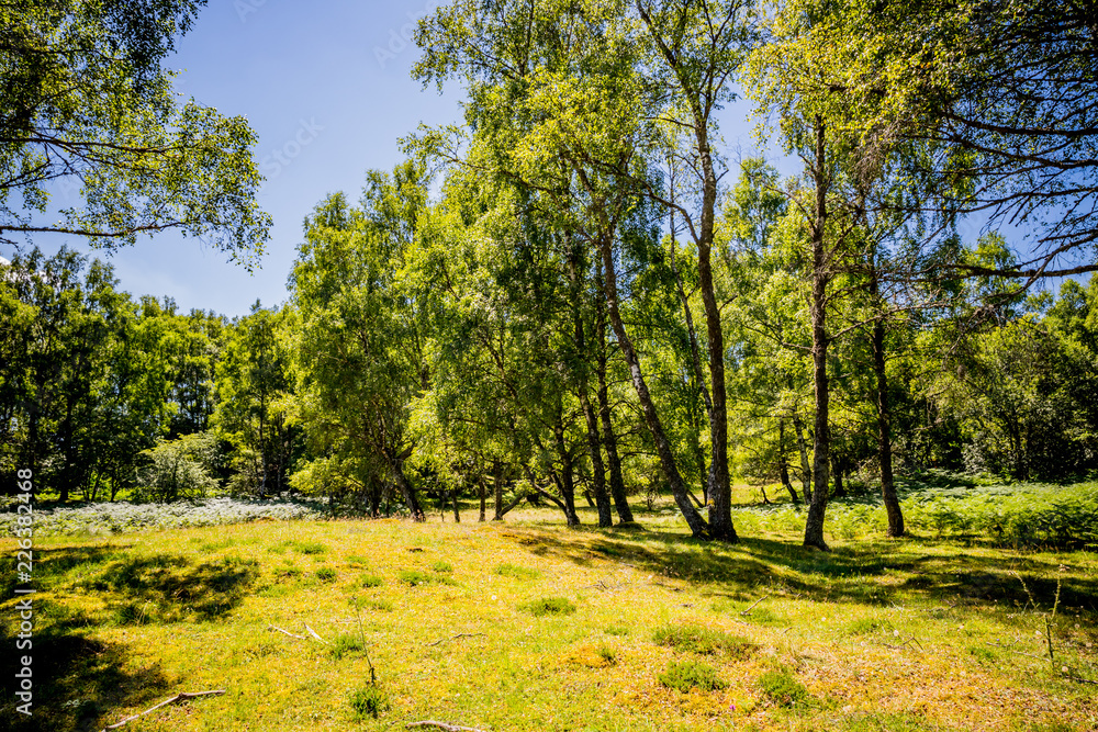 Randonnée au Puy Pariou  en Auvergne