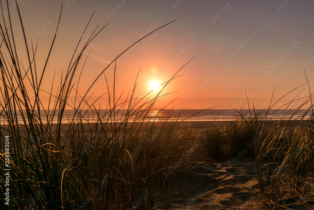 view of colorful sunset on the beach going through the grass