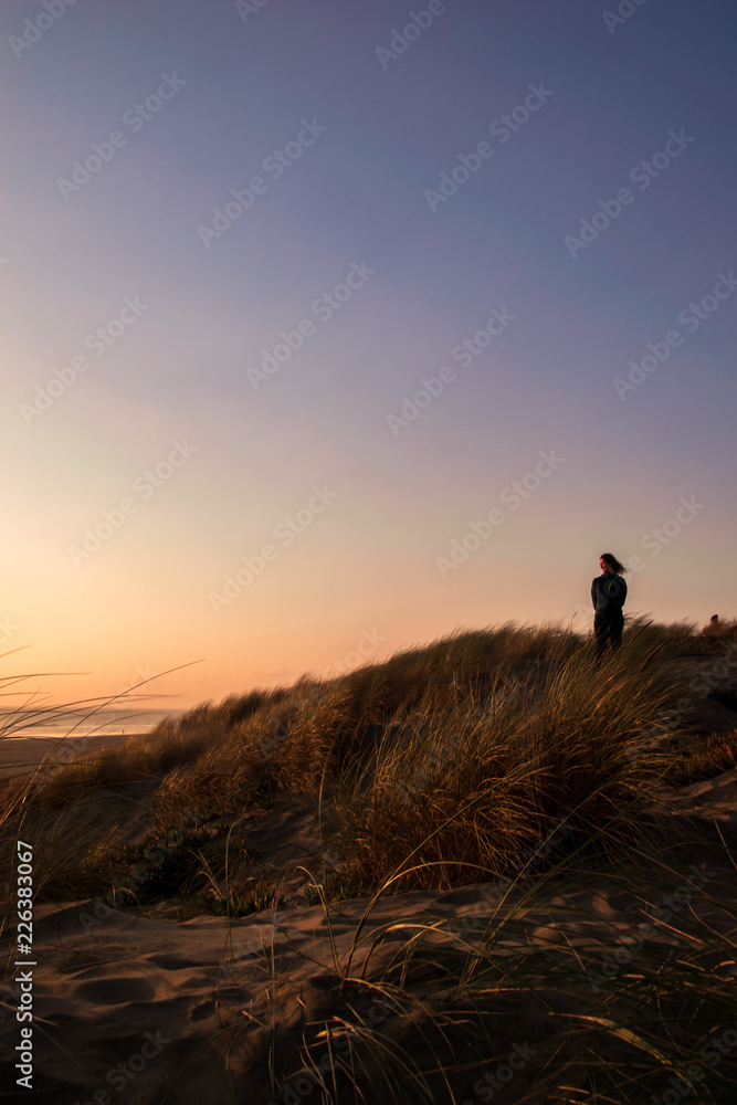 Silhouette of a girl admiring the sun setting on the colorful sky above the beach vegetation