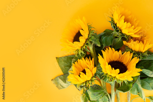 Sunflower fresh flowers on yellow background with copy space